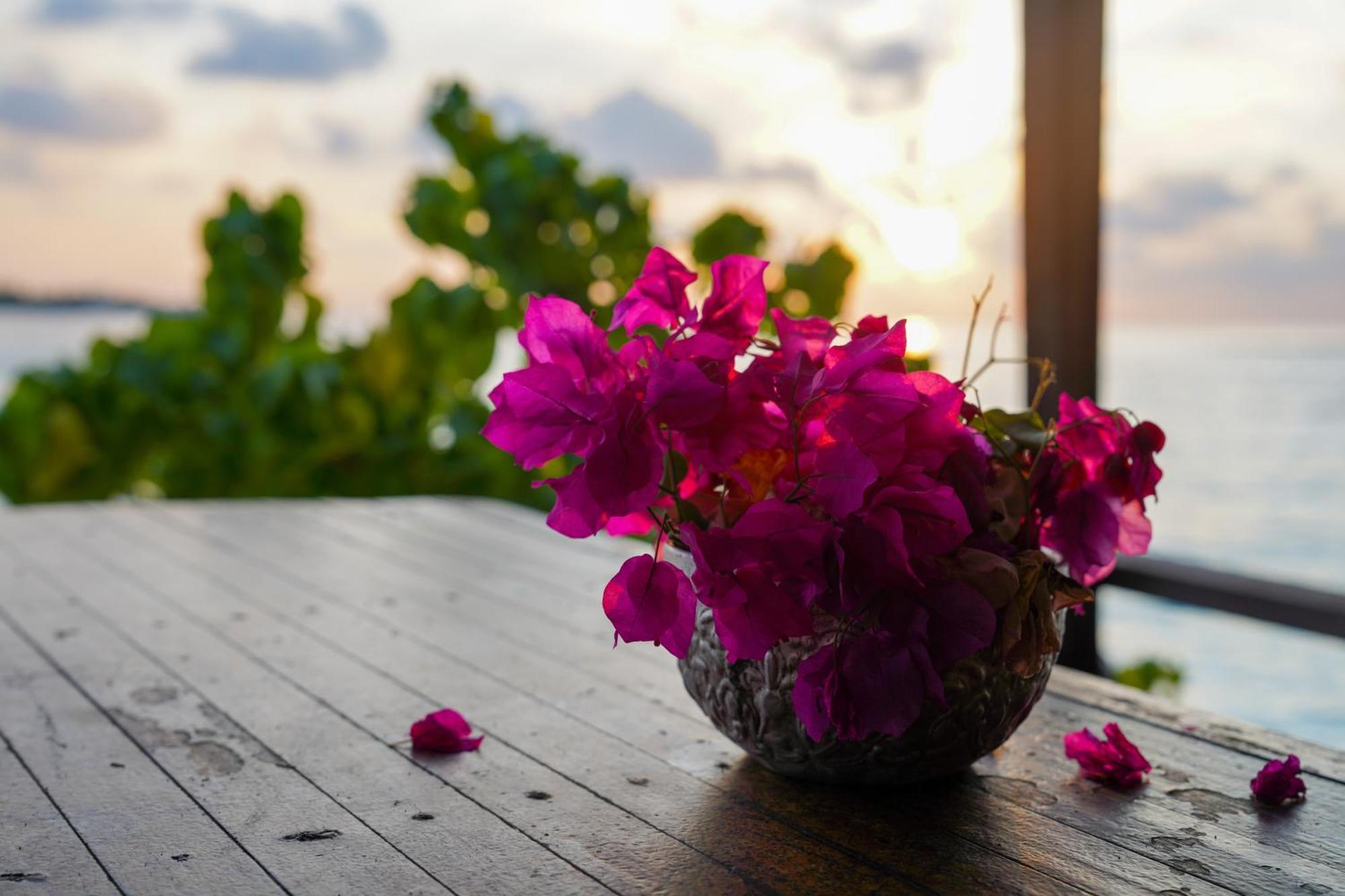 Sun & Surf Hotel Thulusdhoo Kültér fotó